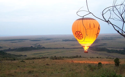 Early Morning Balloon Safaris