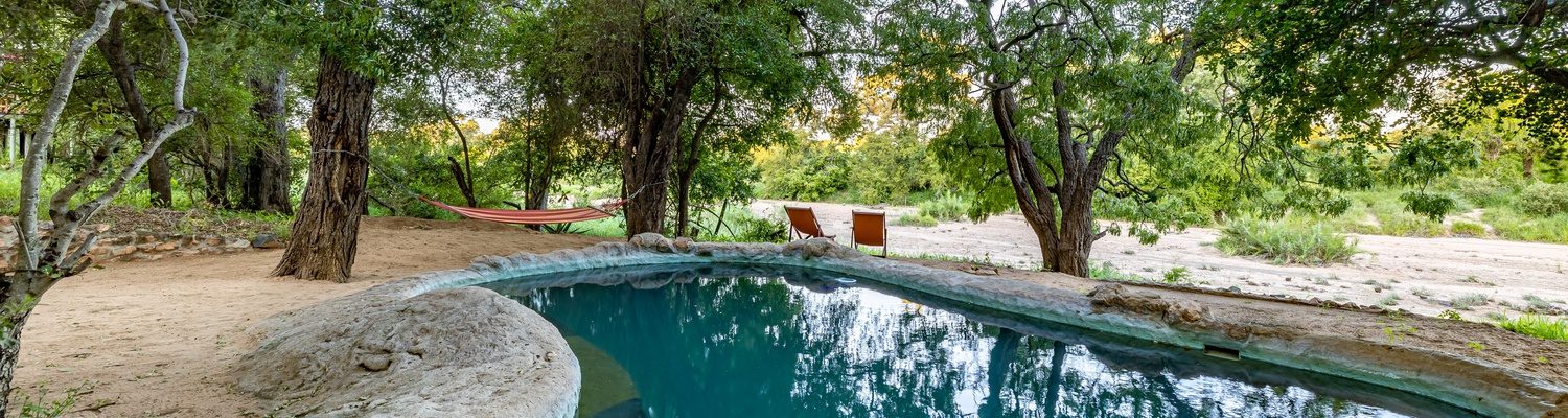 Pool hope outhitting African sun vacation holiday getaway game lodge luxury rustic Timbavati African animals Kruger national park 