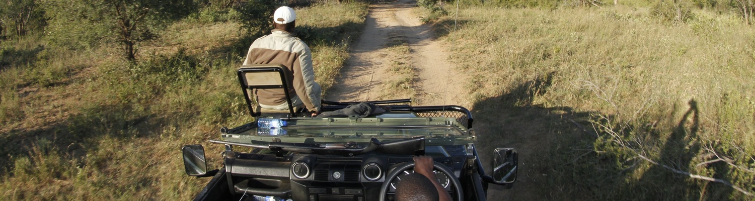 Game viewing, Umlani Bushcamp, Timbavati Private Nature Reserve, Kruger National Park